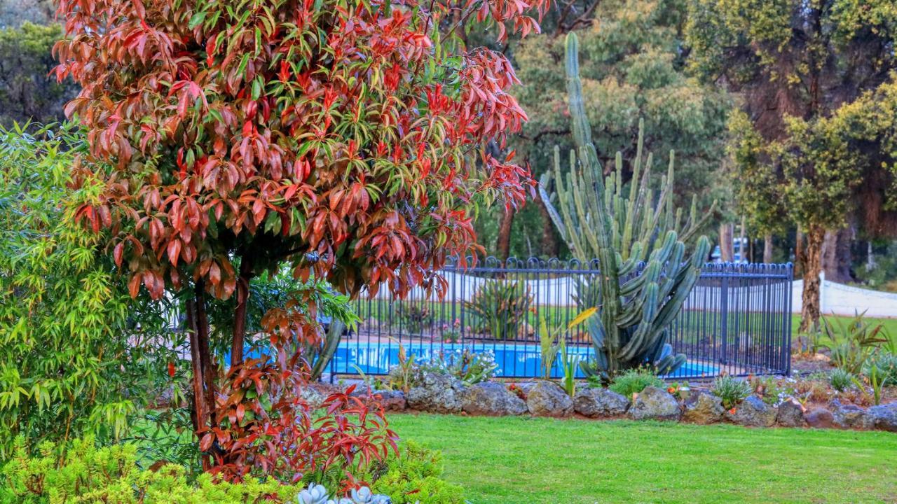 Azalea Motel Coonabarabran Exteriör bild