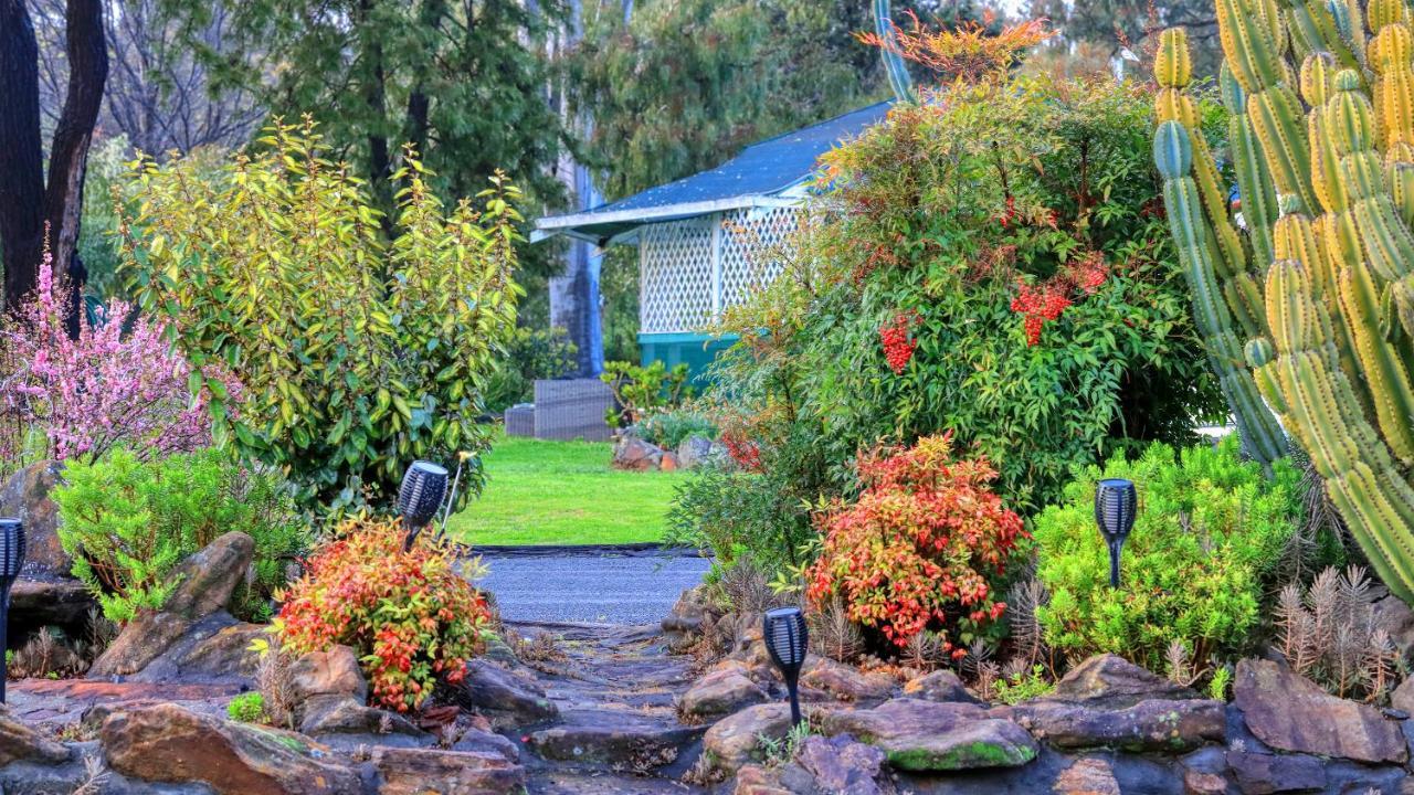 Azalea Motel Coonabarabran Exteriör bild