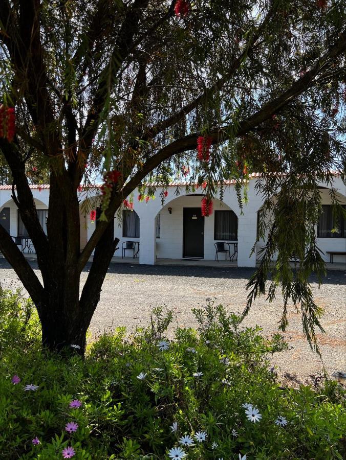 Azalea Motel Coonabarabran Exteriör bild