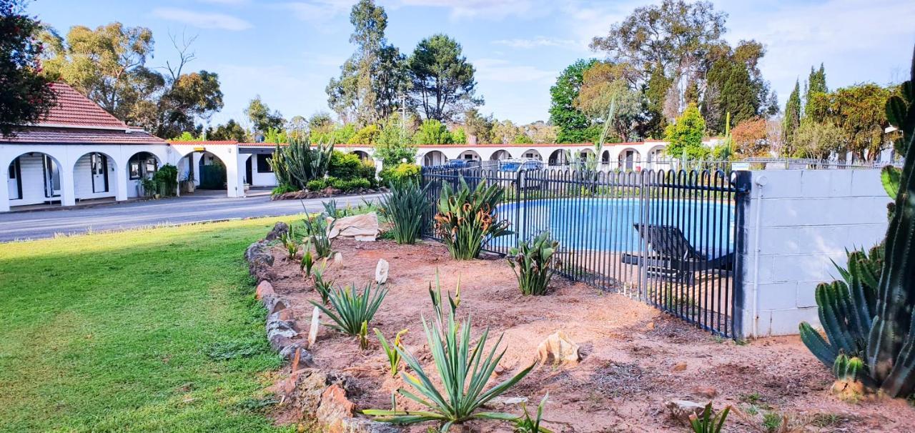 Azalea Motel Coonabarabran Exteriör bild
