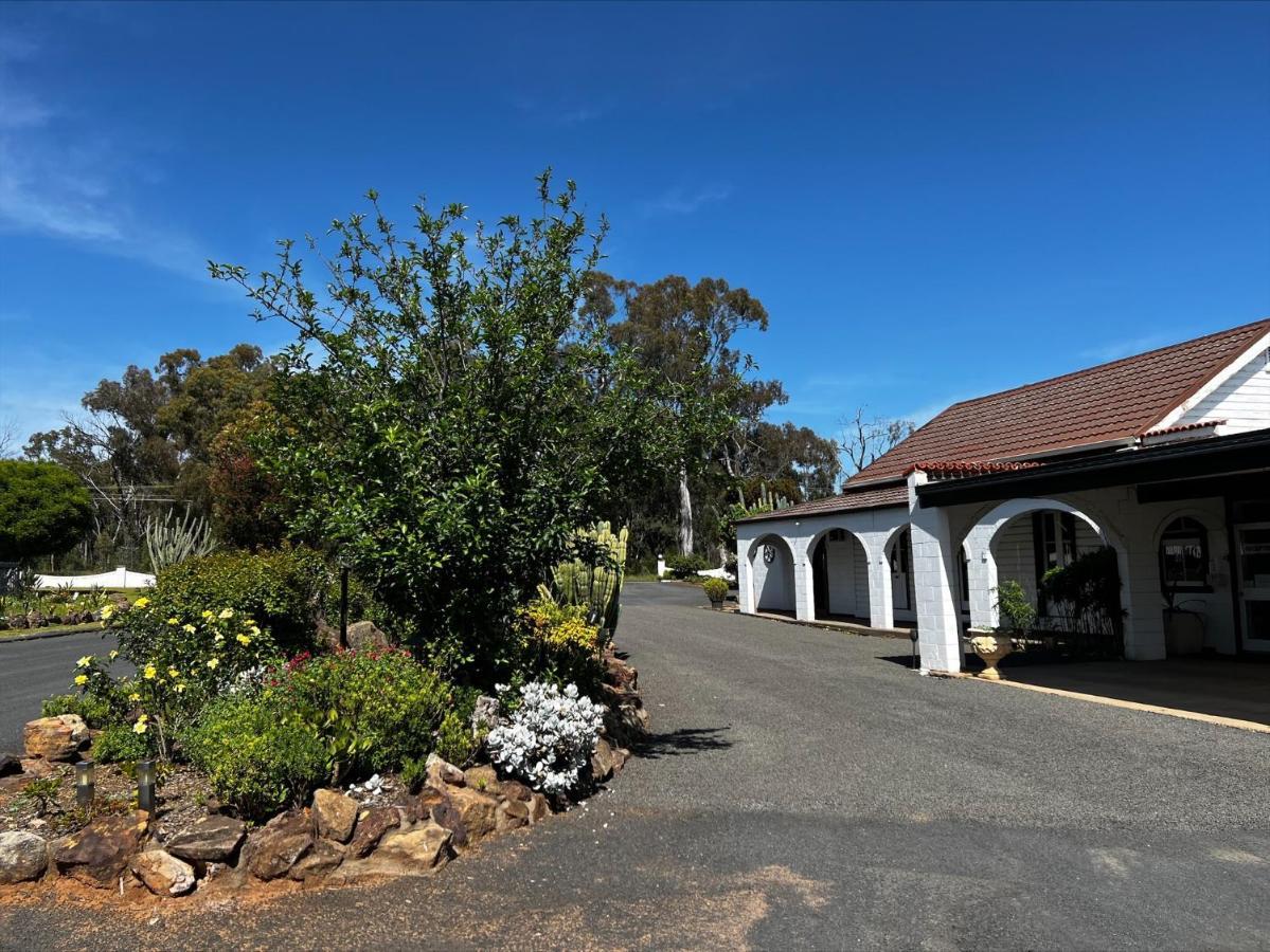 Azalea Motel Coonabarabran Exteriör bild