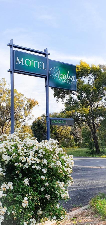 Azalea Motel Coonabarabran Exteriör bild