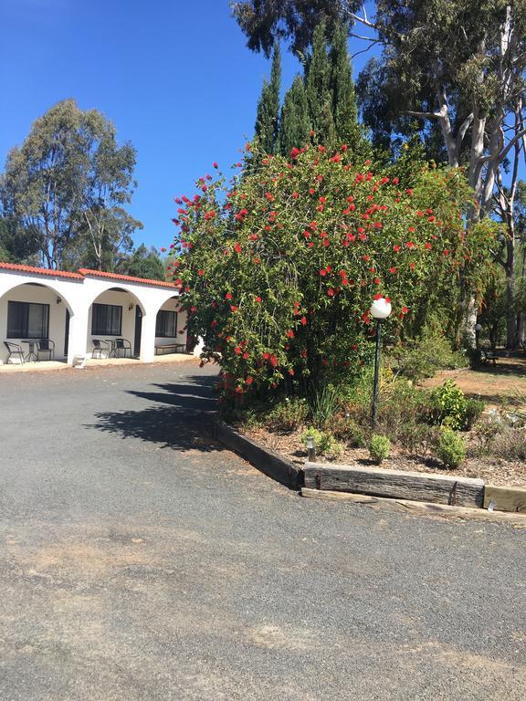 Azalea Motel Coonabarabran Exteriör bild